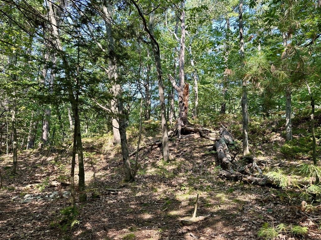 Lot 23 Pine Cone Drive St. James Township MI 49782