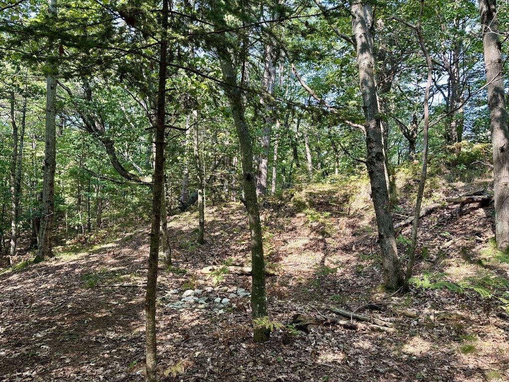 Lot 23 Pine Cone Drive St. James Township MI 49782