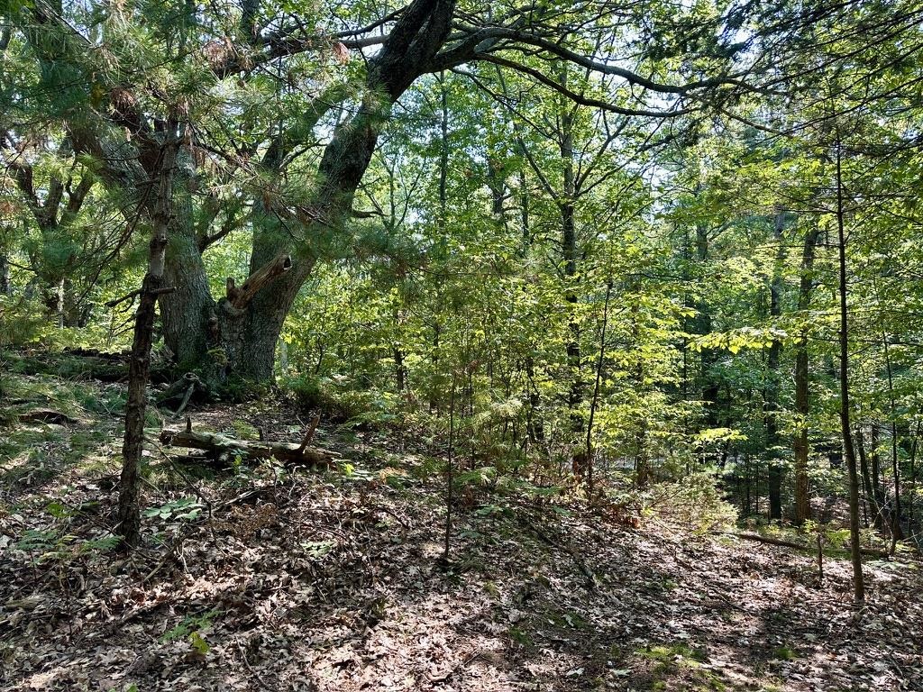 Lot 23 Pine Cone Drive St. James Township MI 49782