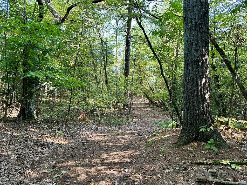 Lot 23 Pine Cone Drive St. James Township MI 49782