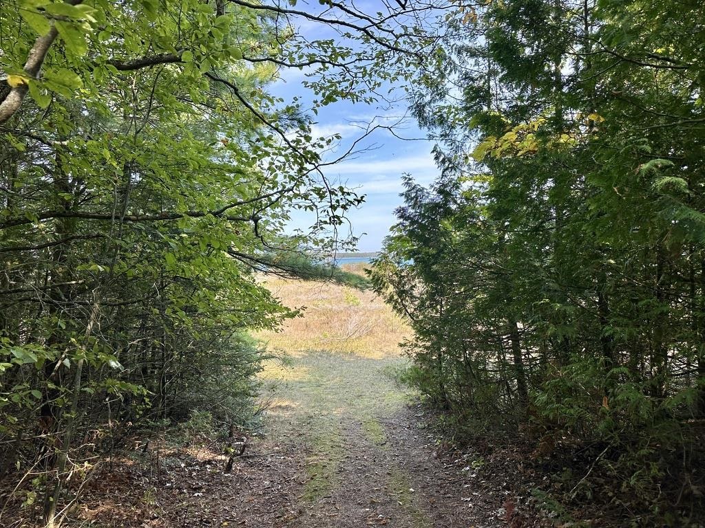Lot 23 Pine Cone Drive St. James Township MI 49782