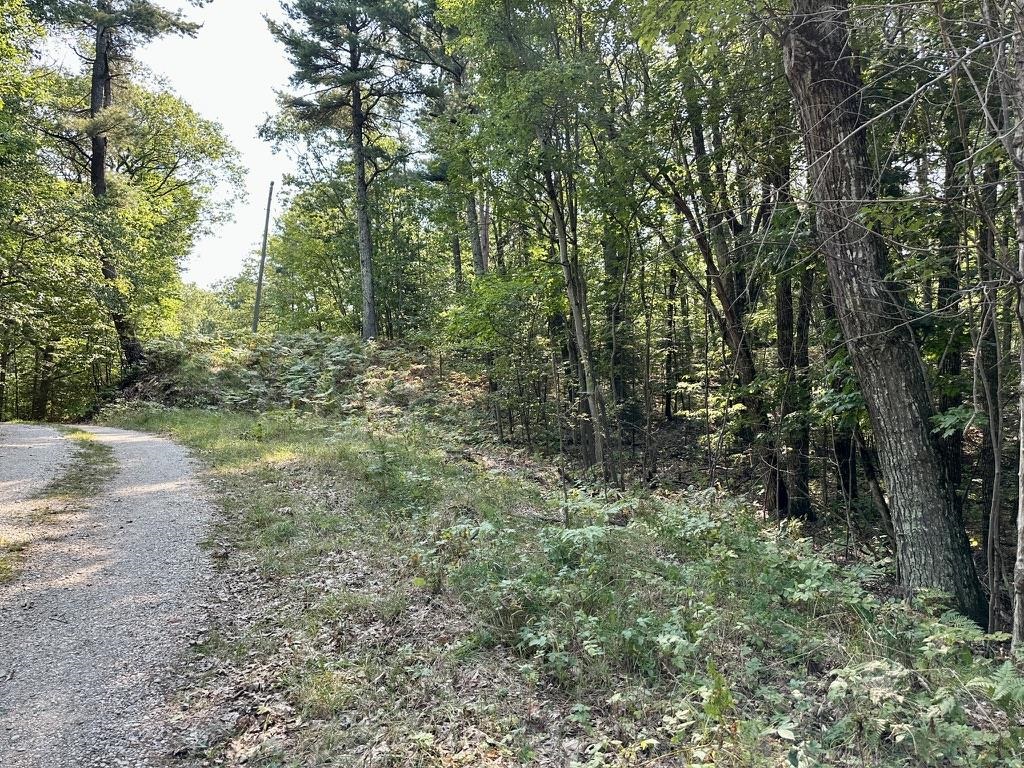 Lot 23 Pine Cone Drive St. James Township MI 49782