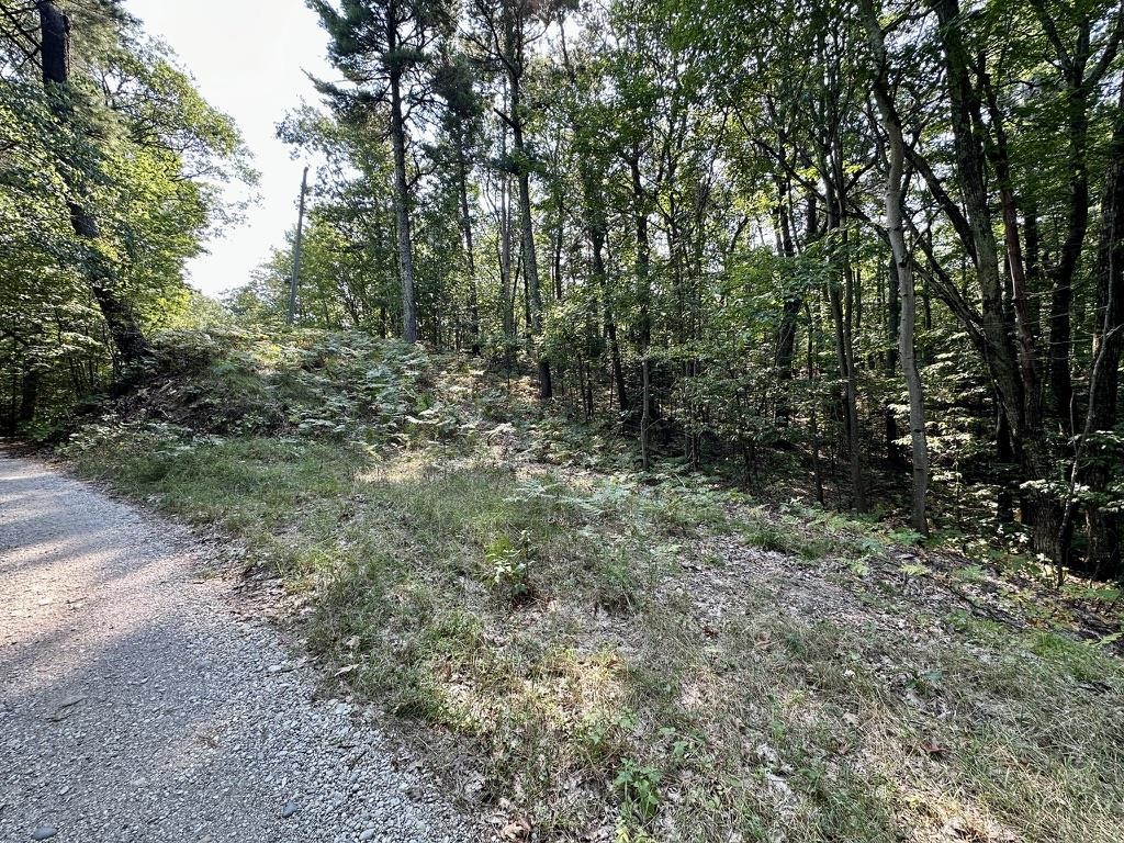 Lot 23 Pine Cone Drive St. James Township MI 49782