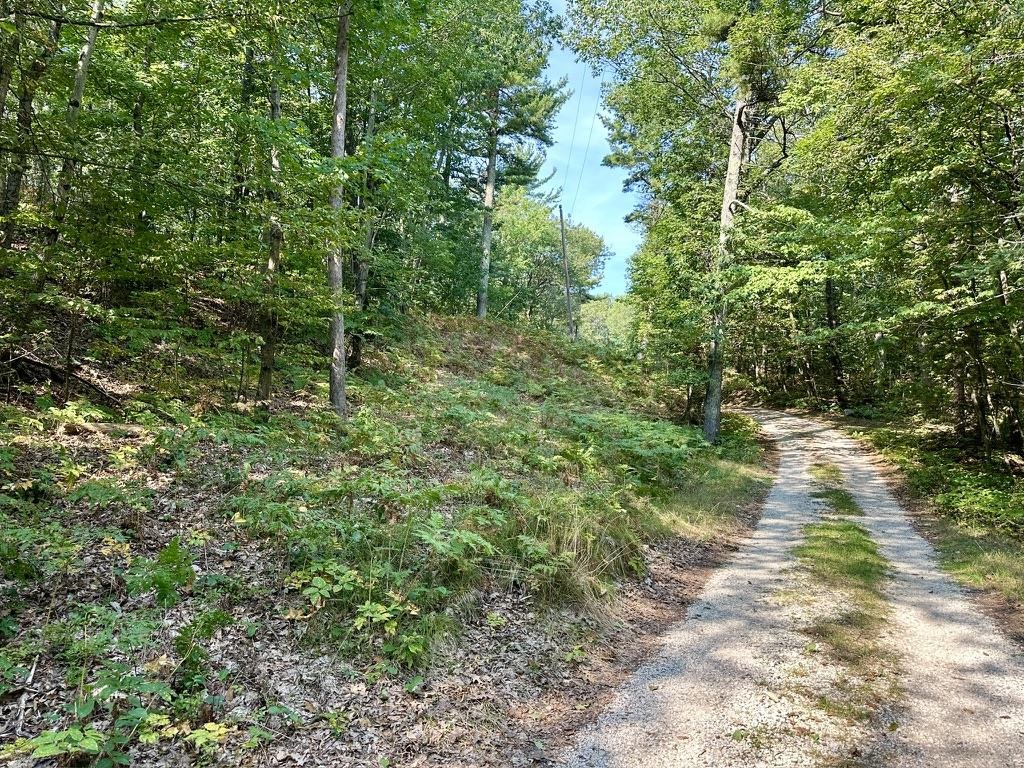 Lot 23 Pine Cone Drive St. James Township MI 49782