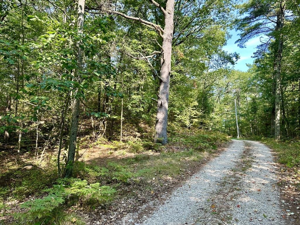 Lot 23 Pine Cone Drive St. James Township MI 49782