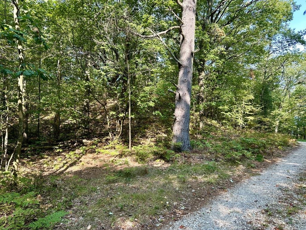 Lot 23 Pine Cone Drive St. James Township MI 49782