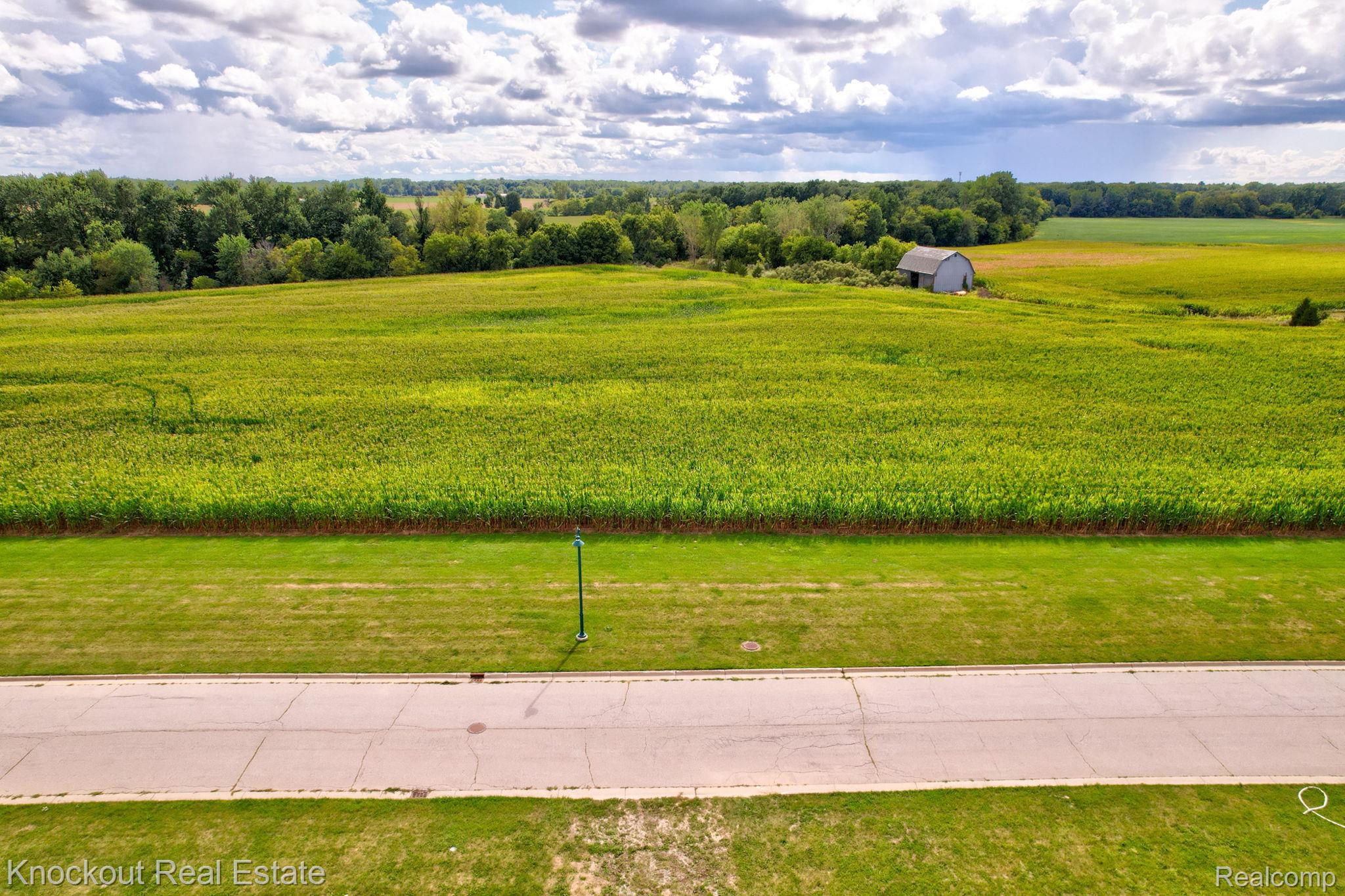 Parcel E W Rolling Hills Drive Bridgeport Charter Township MI 48722