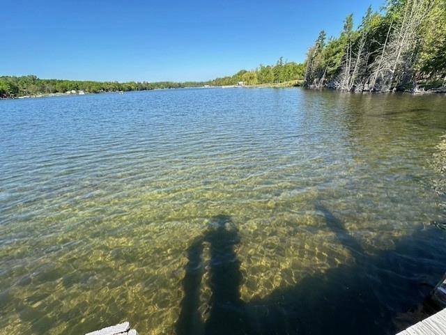 000 Clam Lake Road Forest Home Township MI 49615