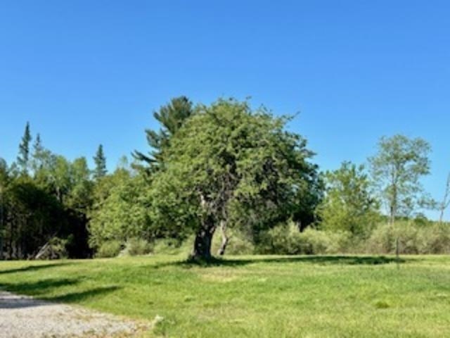 000 Clam Lake Road Forest Home Township MI 49615
