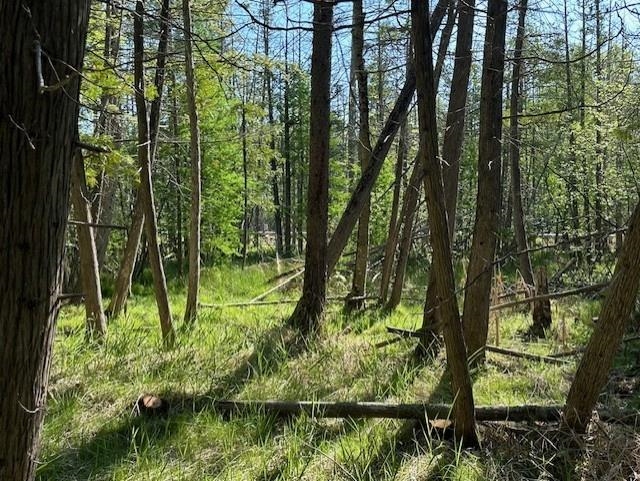 000 Clam Lake Road Forest Home Township MI 49615