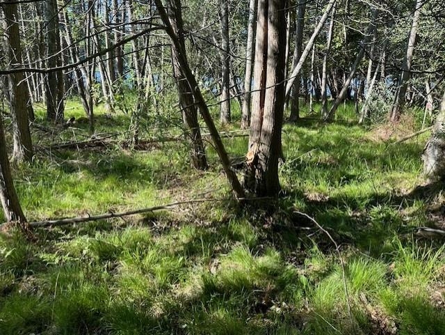 000 Clam Lake Road Forest Home Township MI 49615