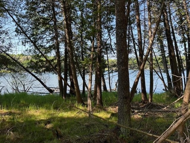 000 Clam Lake Road Forest Home Township MI 49615