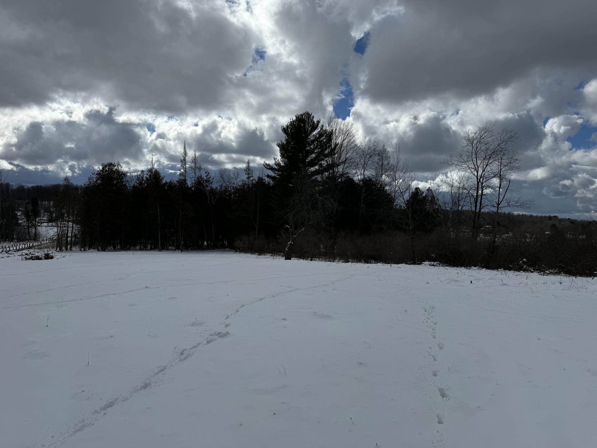 000 Clam Lake Road Forest Home Township MI 49615
