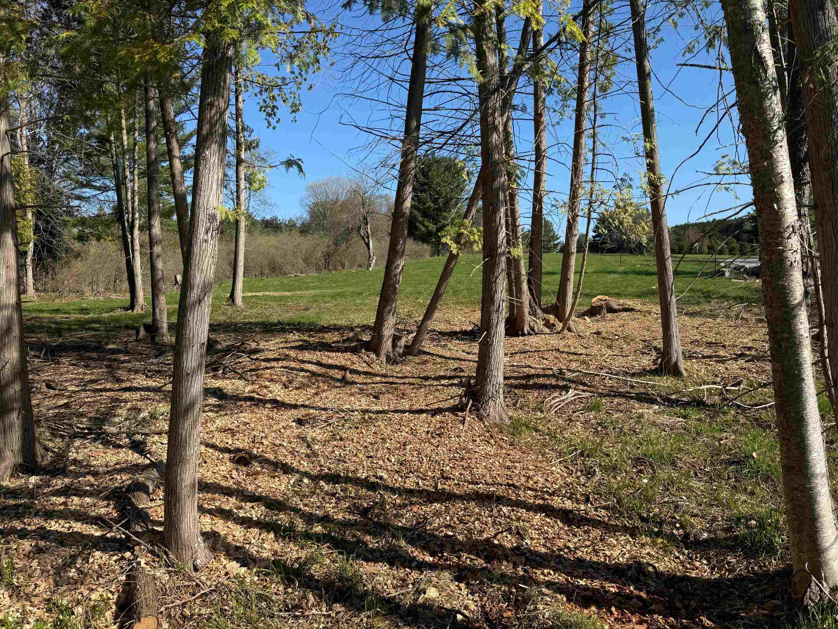 000 Clam Lake Road Forest Home Township MI 49615