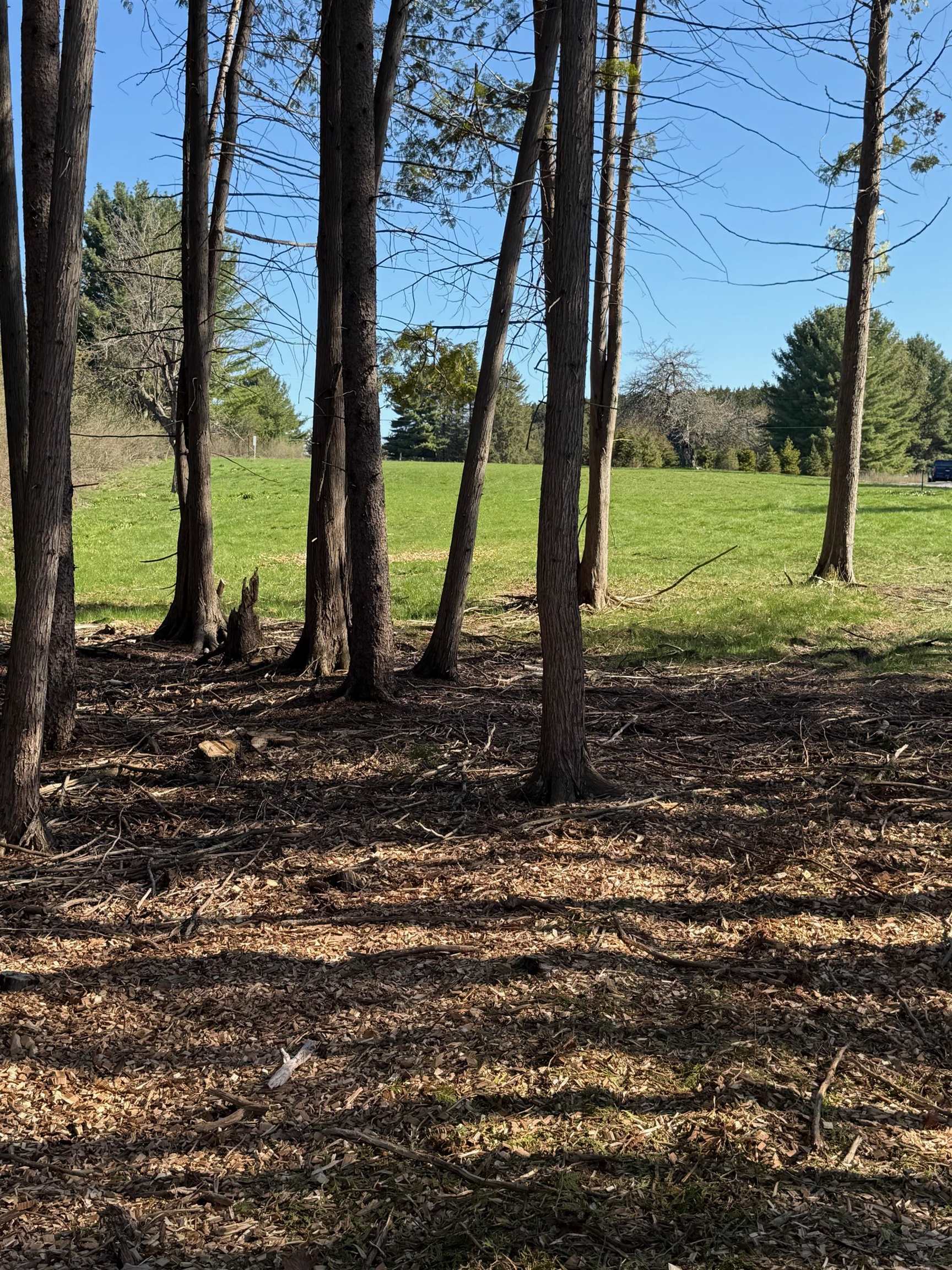 000 Clam Lake Road Forest Home Township MI 49615