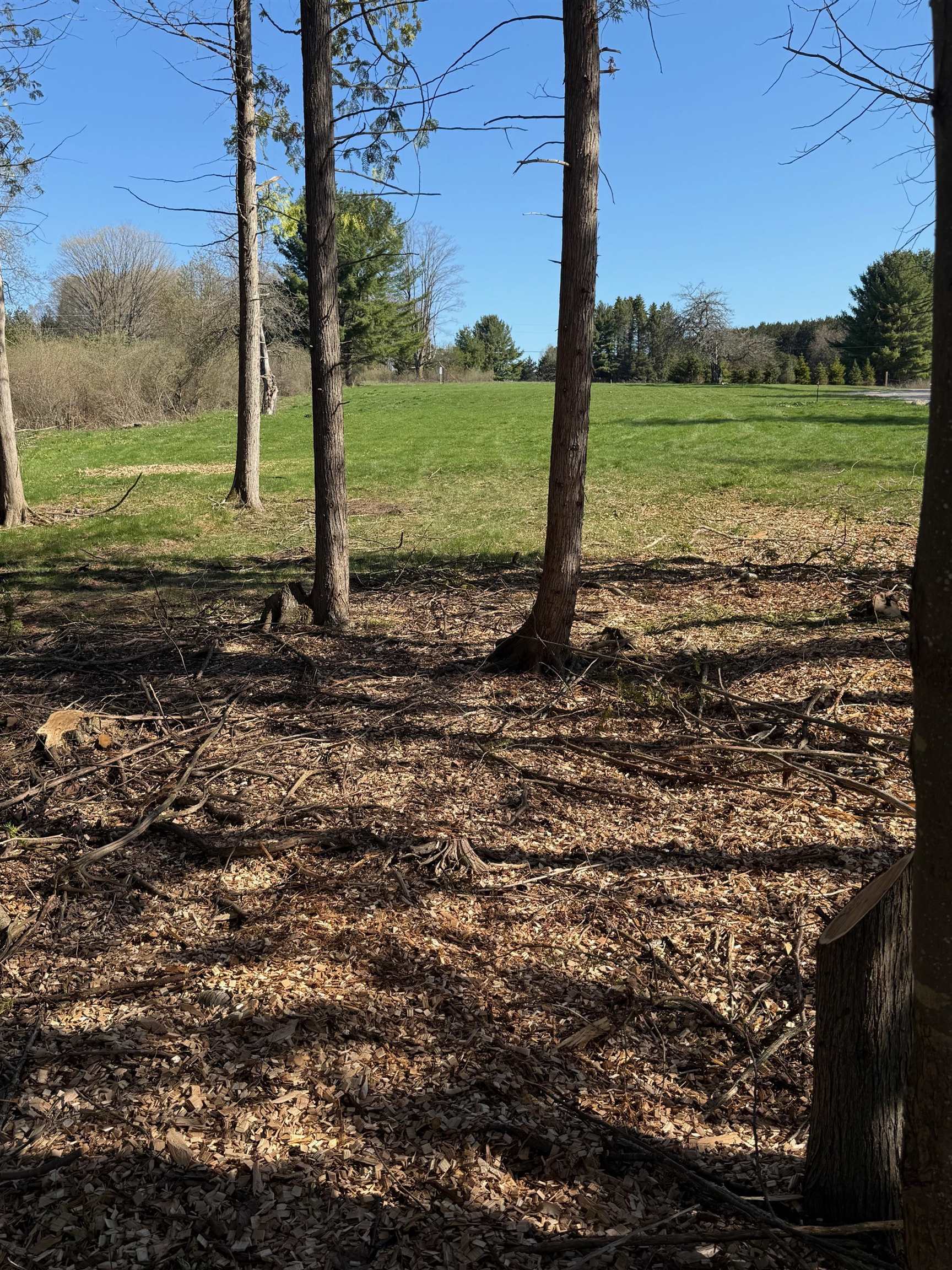 000 Clam Lake Road Forest Home Township MI 49615