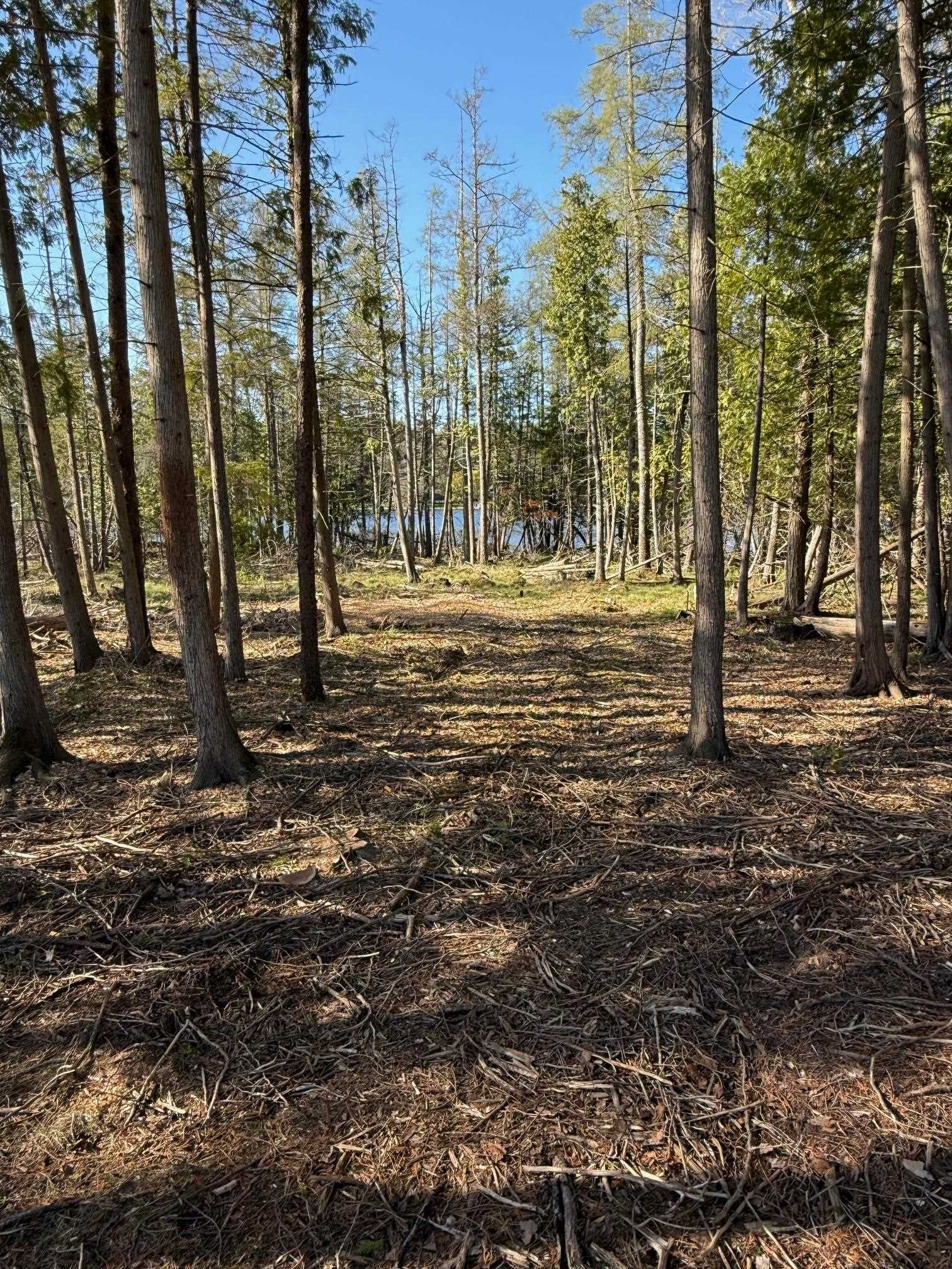000 Clam Lake Road Forest Home Township MI 49615