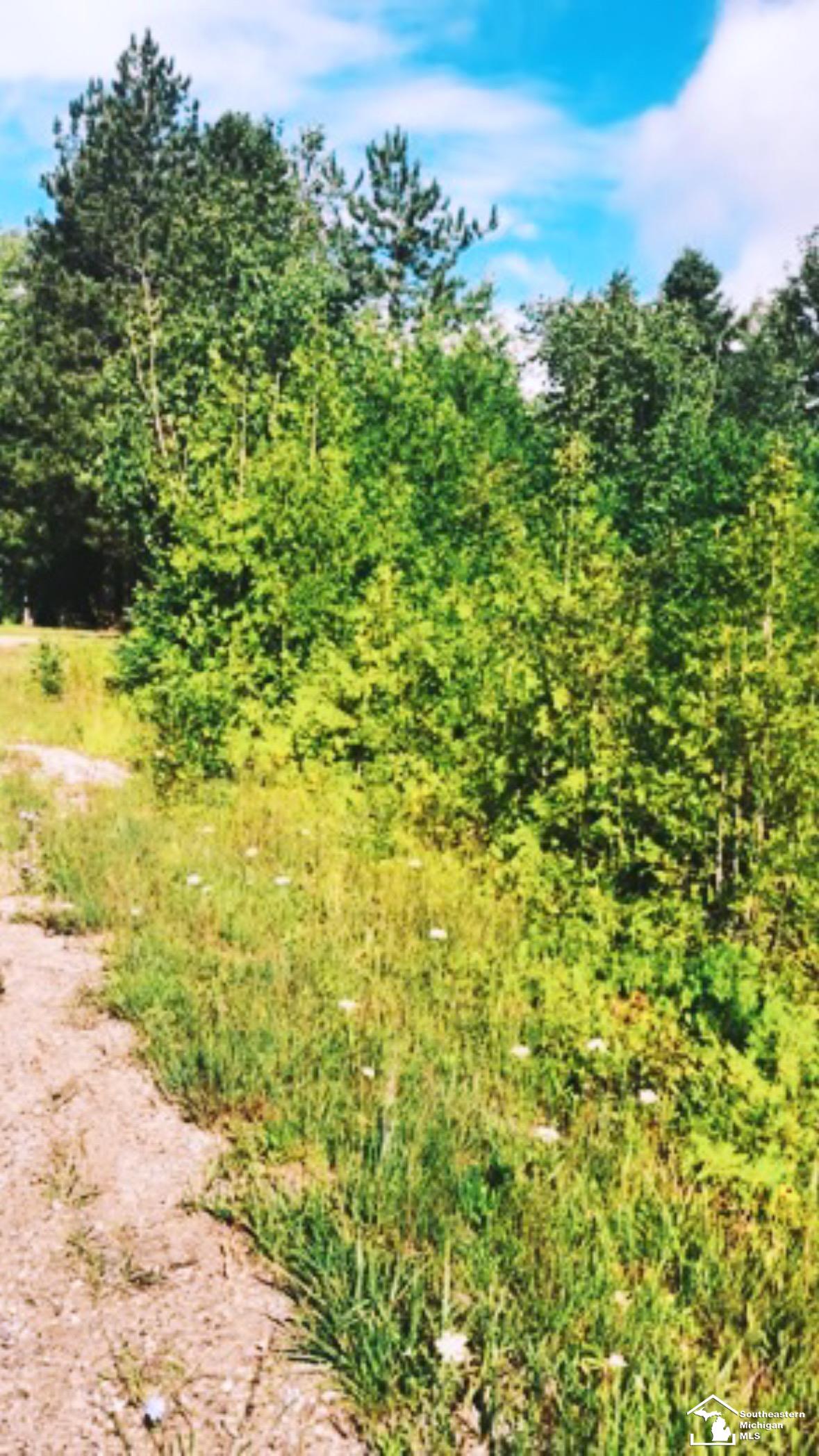 0000 Grace Harbor Road Bearinger Township MI 49765
