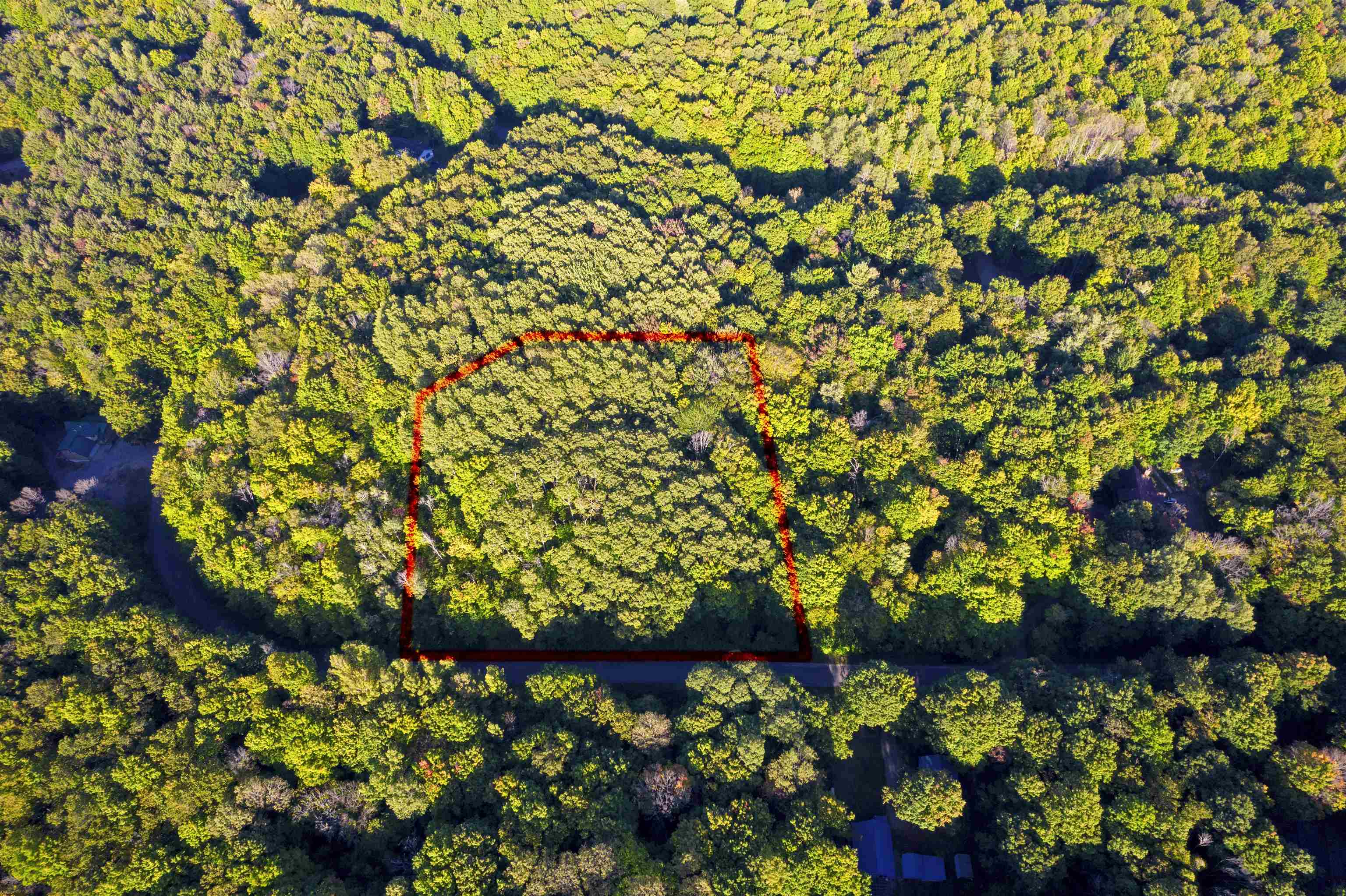 V/l Forestgrove Drive Star Township MI 49730