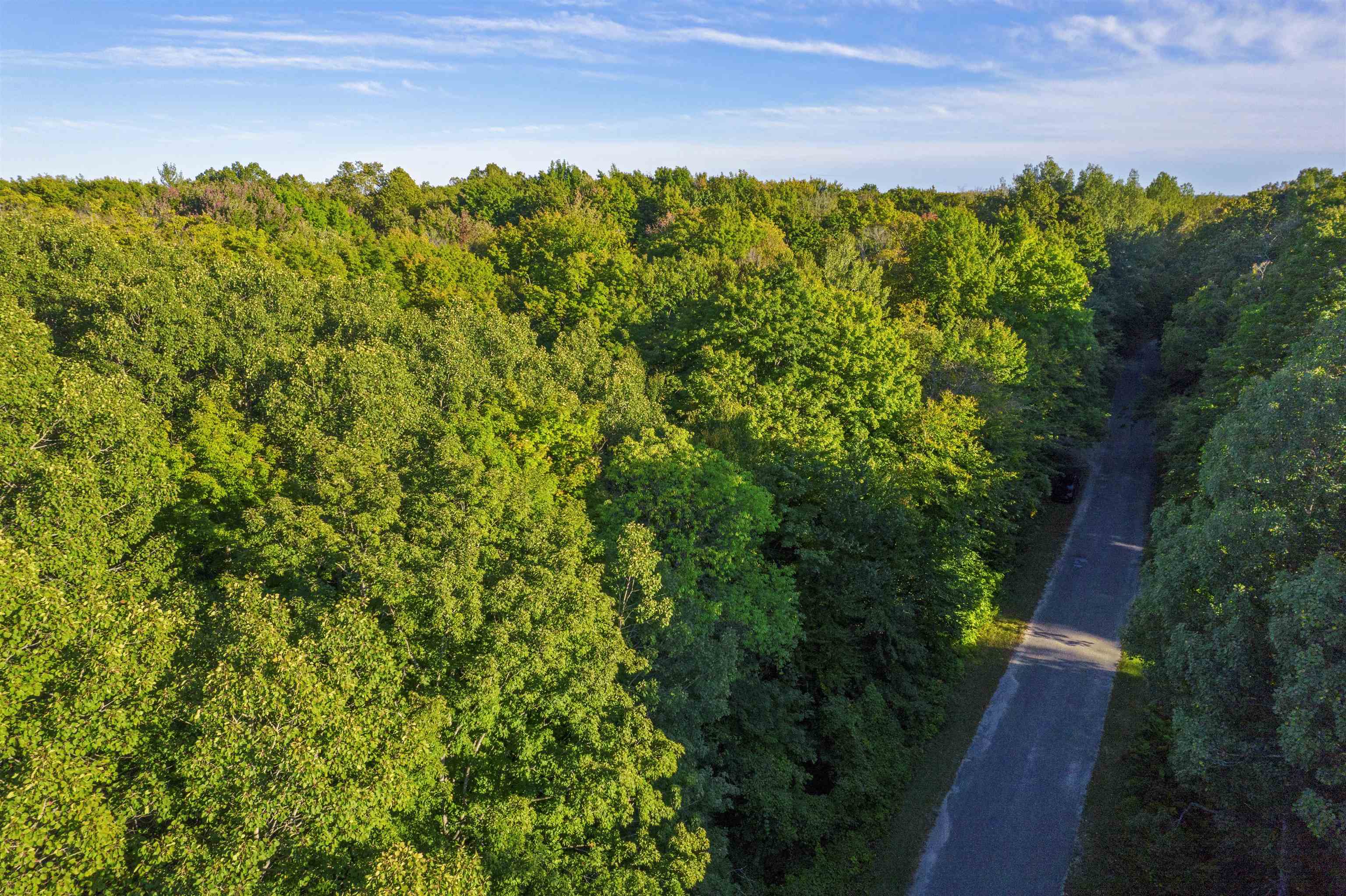 V/l Forestgrove Drive Star Township MI 49730