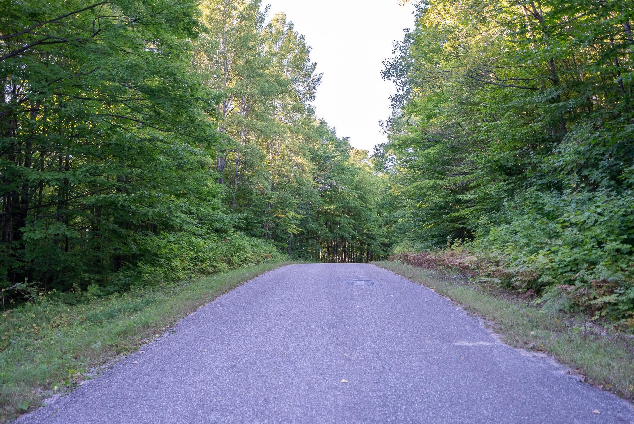 V/l Forestgrove Drive Star Township MI 49730