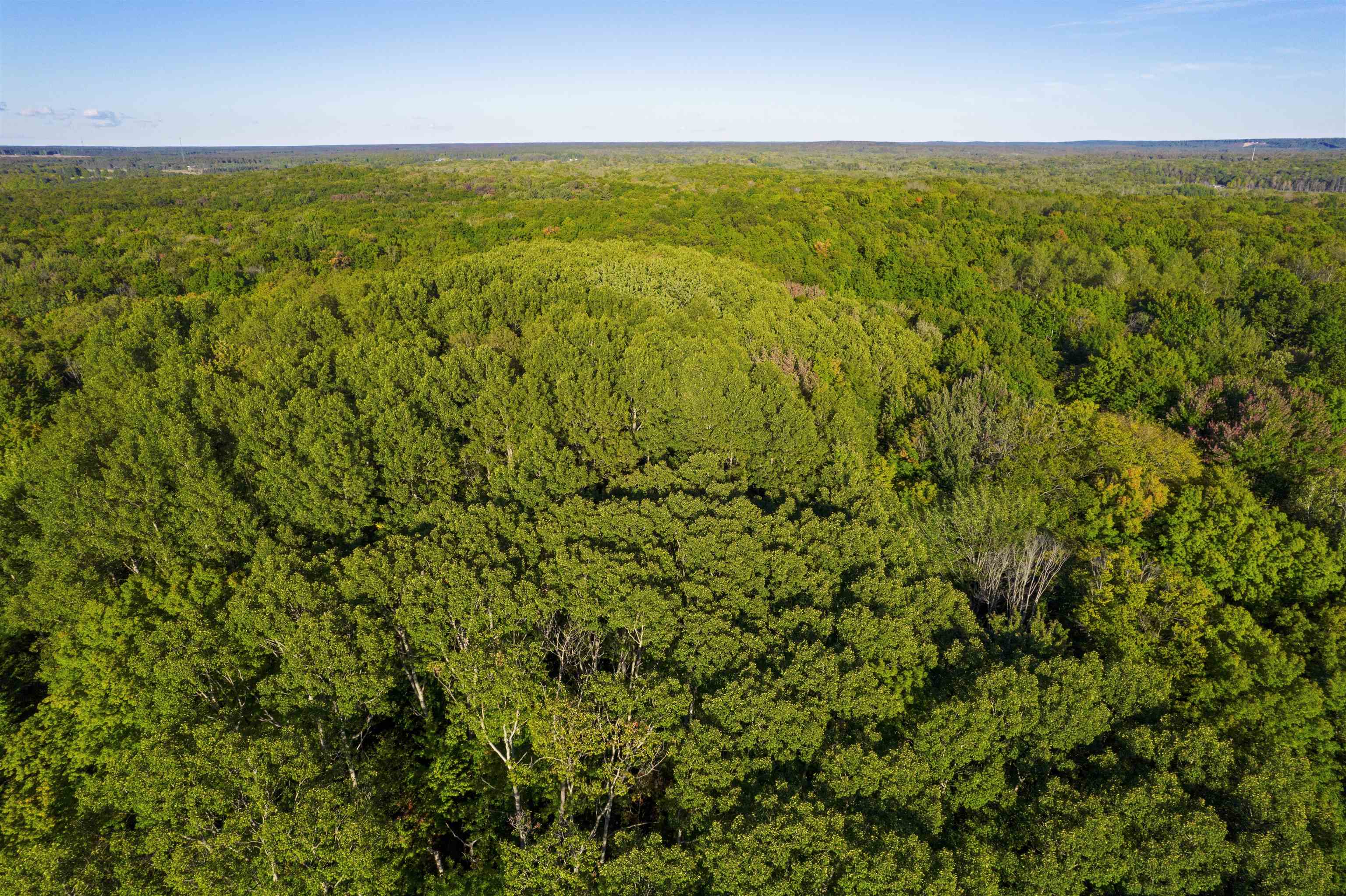 V/l Forestgrove Drive Star Township MI 49730