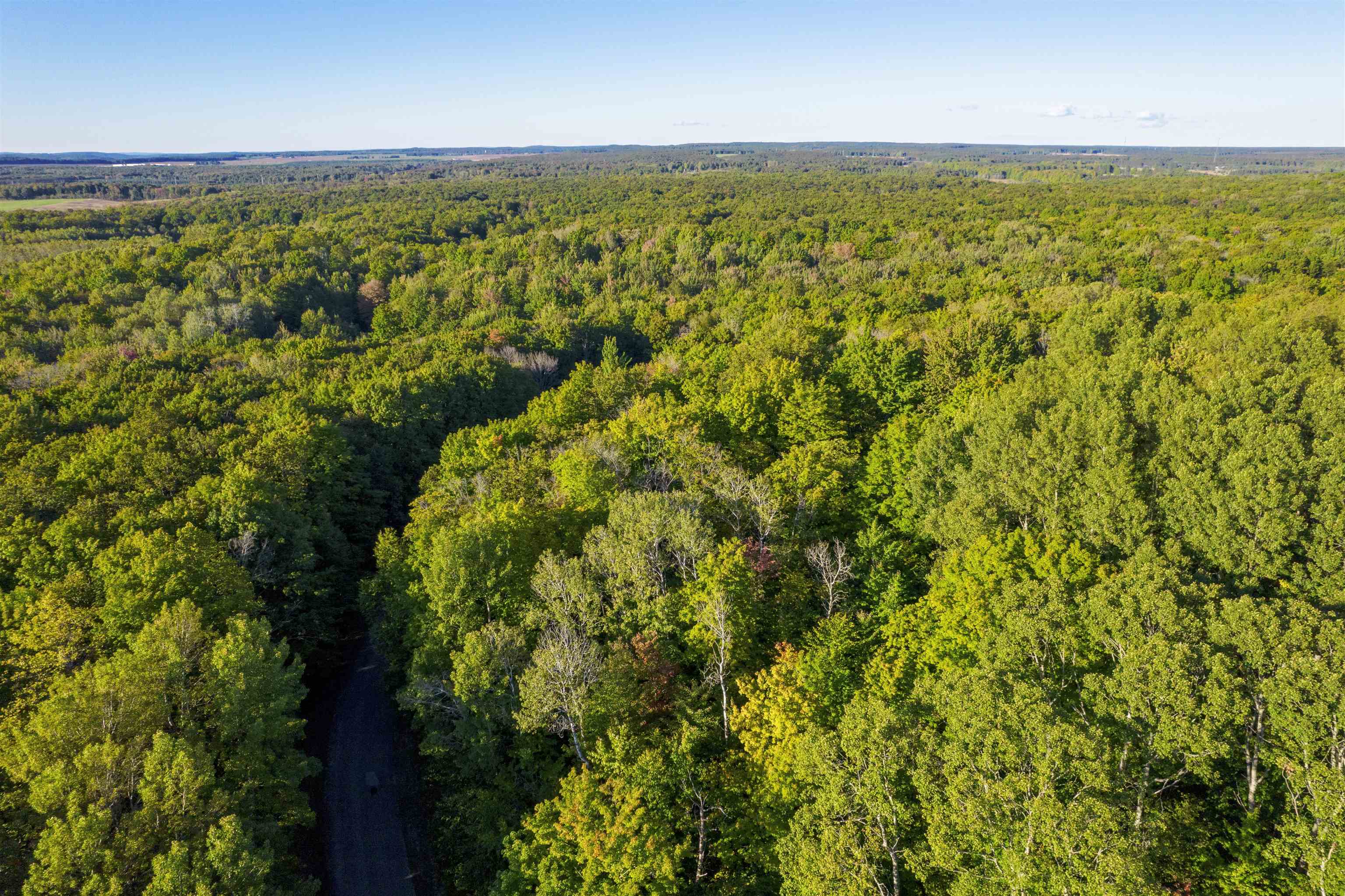 V/l Forestgrove Drive Star Township MI 49730