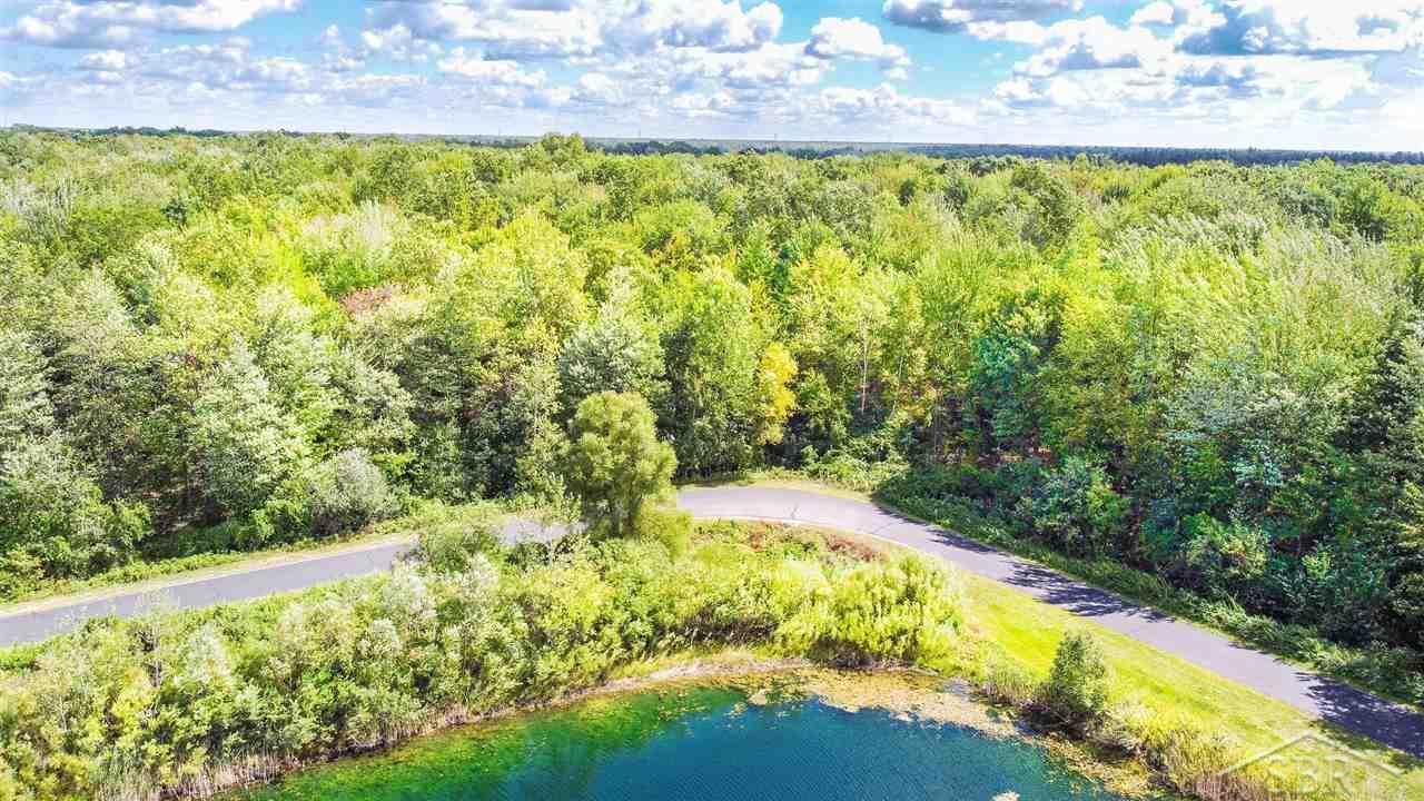 5 Widgeon Way Richland Township MI 48626