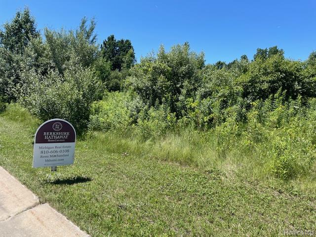 6460 Atlas Lakes Drive Atlas Township MI 48411