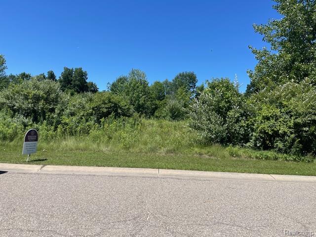 6460 Atlas Lakes Drive Atlas Township MI 48411