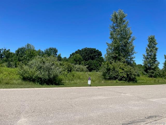 6460 Atlas Lakes Drive Atlas Township MI 48411