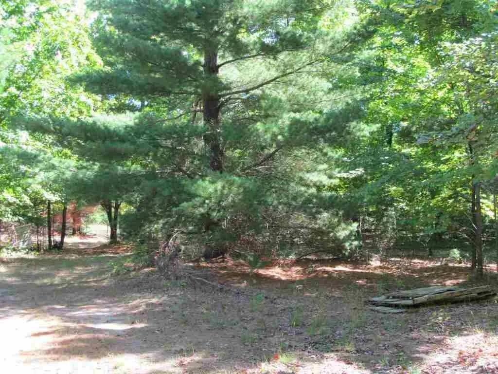 5560 N 3 Road Springville Township MI 49668