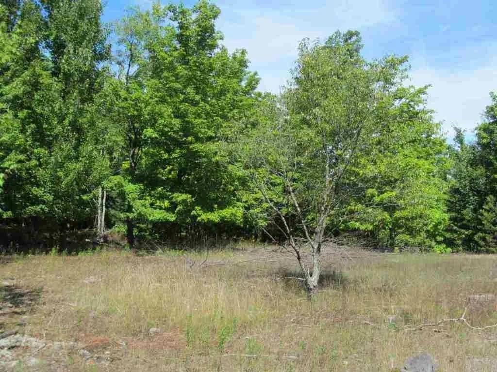 5560 N 3 Road Springville Township MI 49668