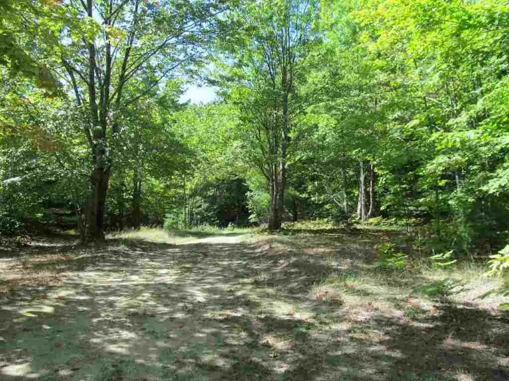 5560 N 3 Road Springville Township MI 49668