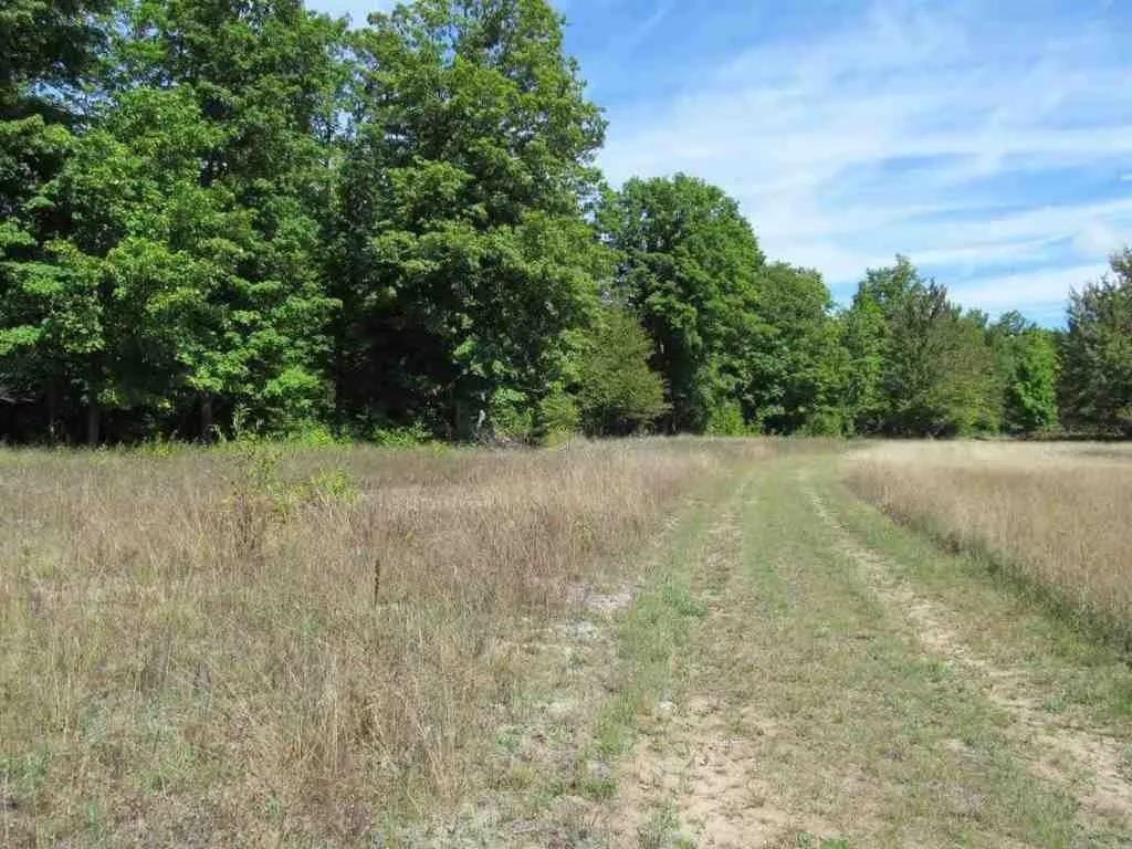 5560 N 3 Road Springville Township MI 49668