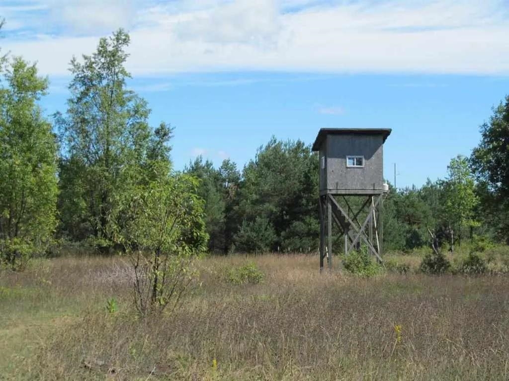 5560 N 3 Road Springville Township MI 49668