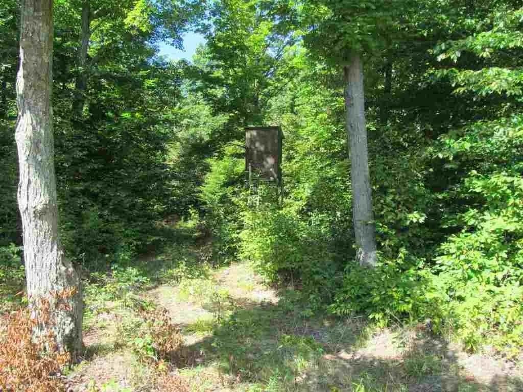 5560 N 3 Road Springville Township MI 49668