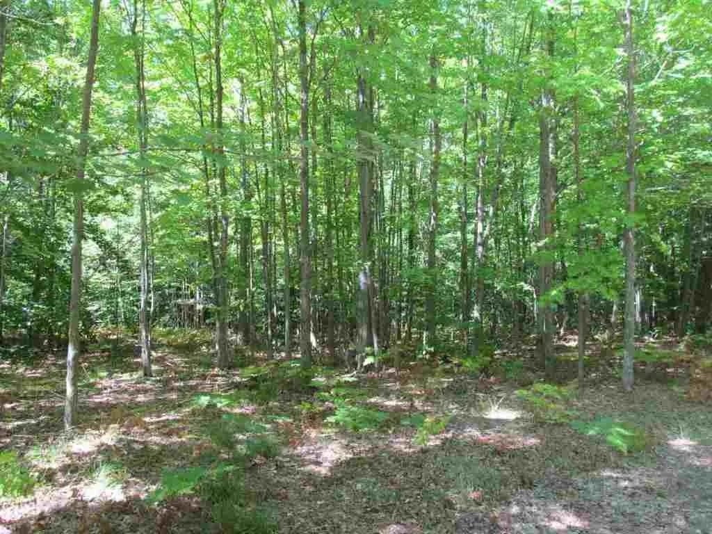 5560 N 3 Road Springville Township MI 49668