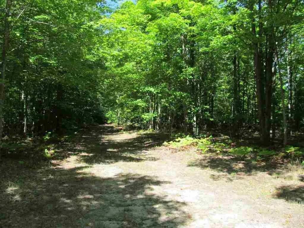 5560 N 3 Road Springville Township MI 49668