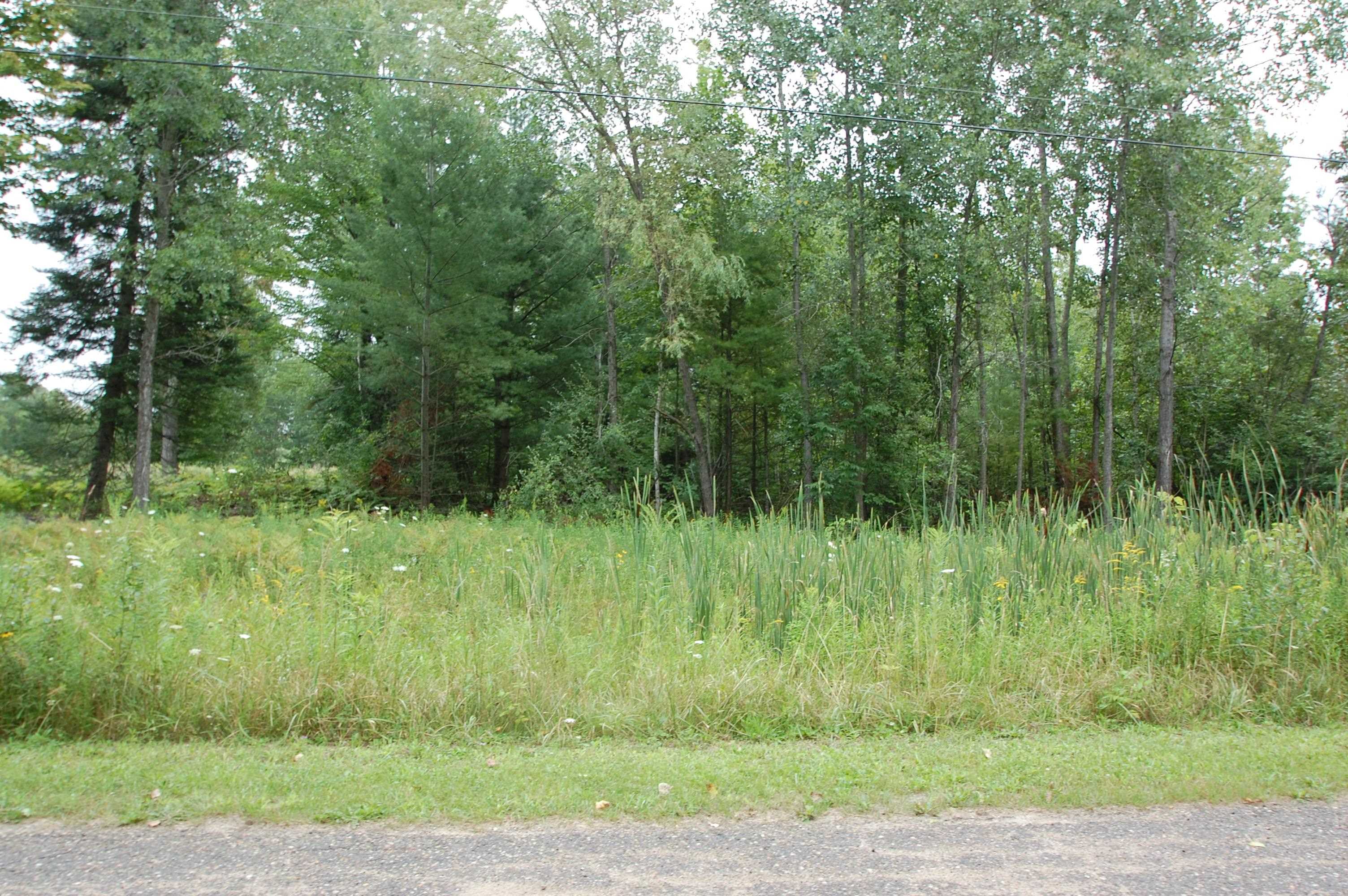 0 Crawford Street West Branch Township MI 48661