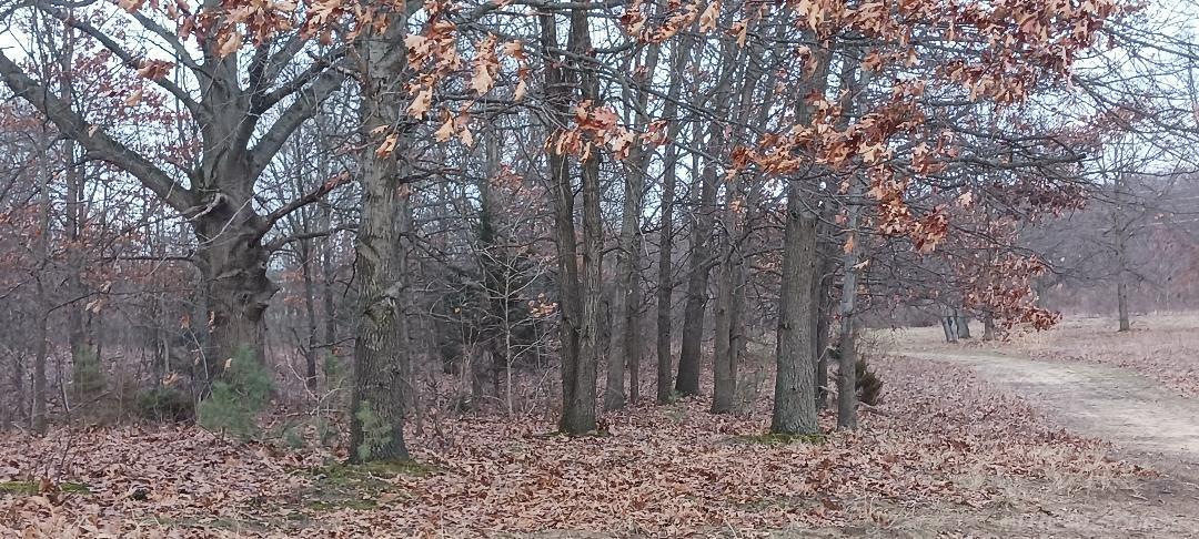 87573 County Road 668 Decatur Township MI 49045