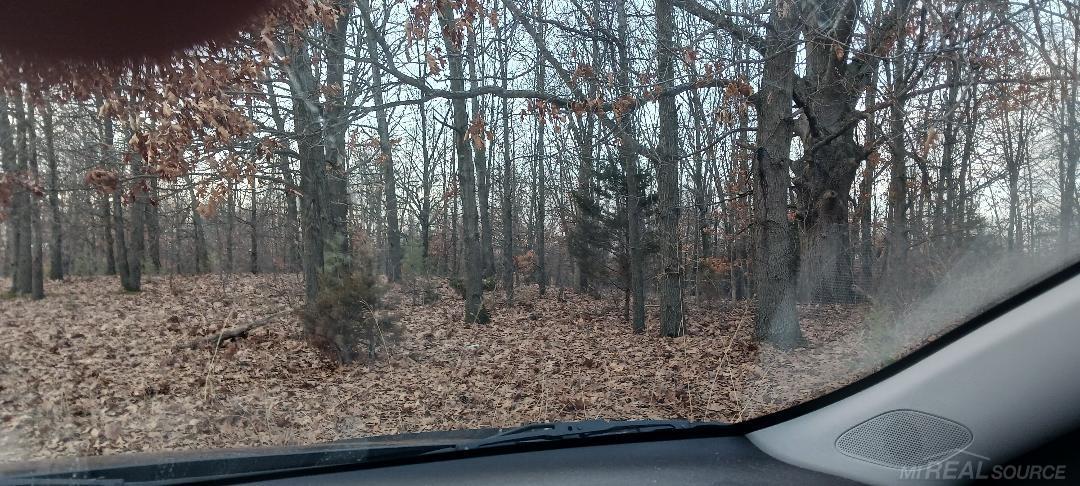 87573 County Road 668 Decatur Township MI 49045
