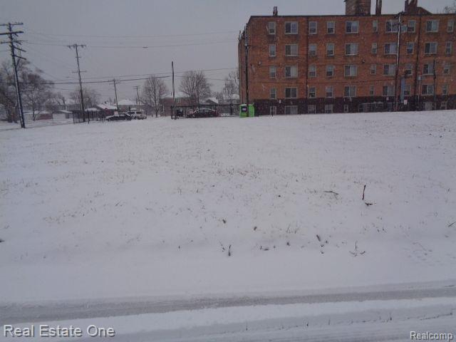 2736 Rochester Street Detroit City MI 48206