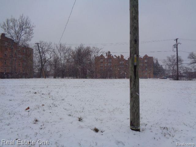 2736 Rochester Street Detroit City MI 48206