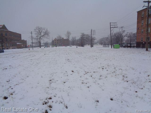 2736 Rochester Street Detroit City MI 48206