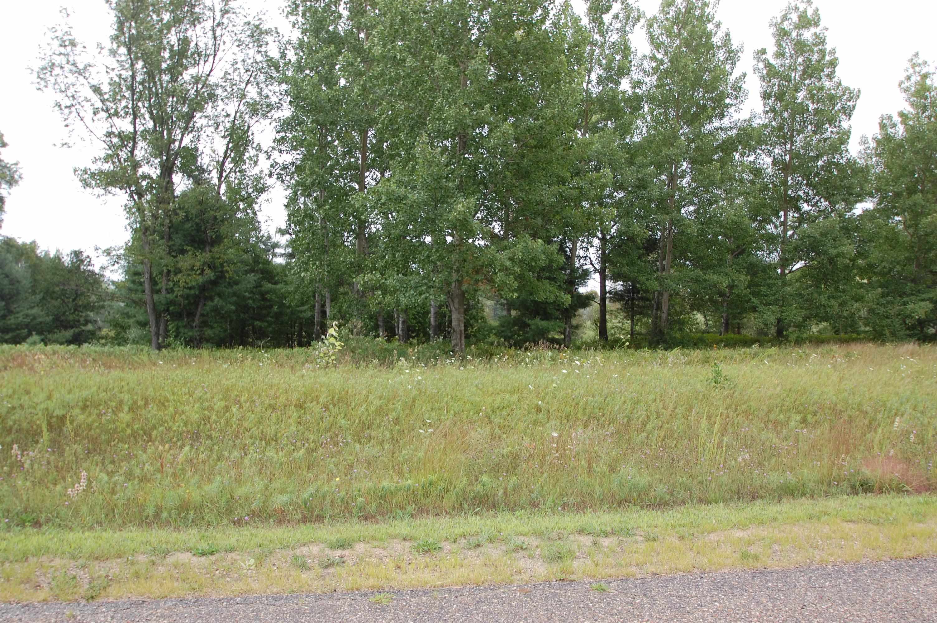 0 Arthur Court West Branch Township MI 48661