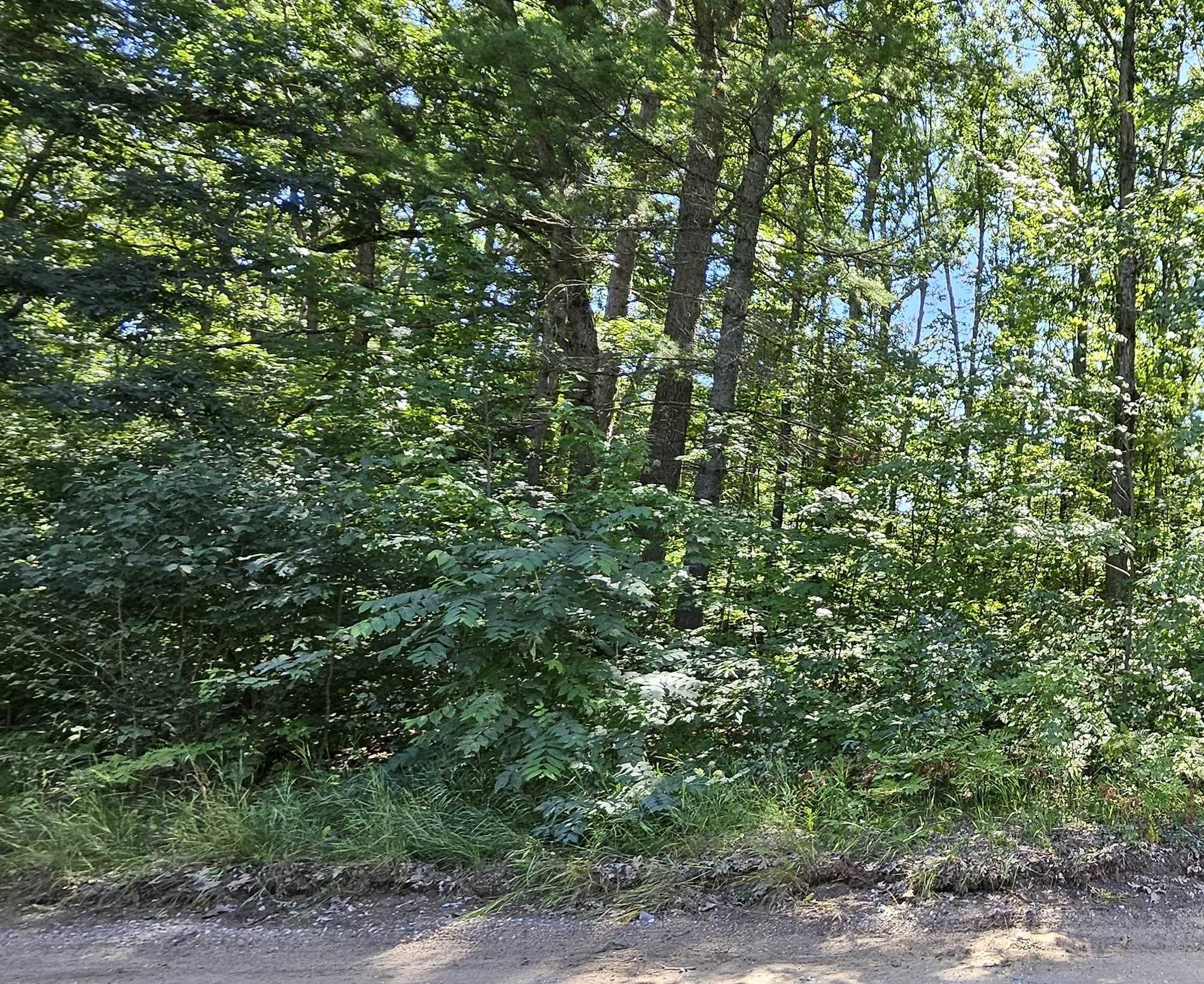 00 Merritt Street Fife Lake Township MI 49633