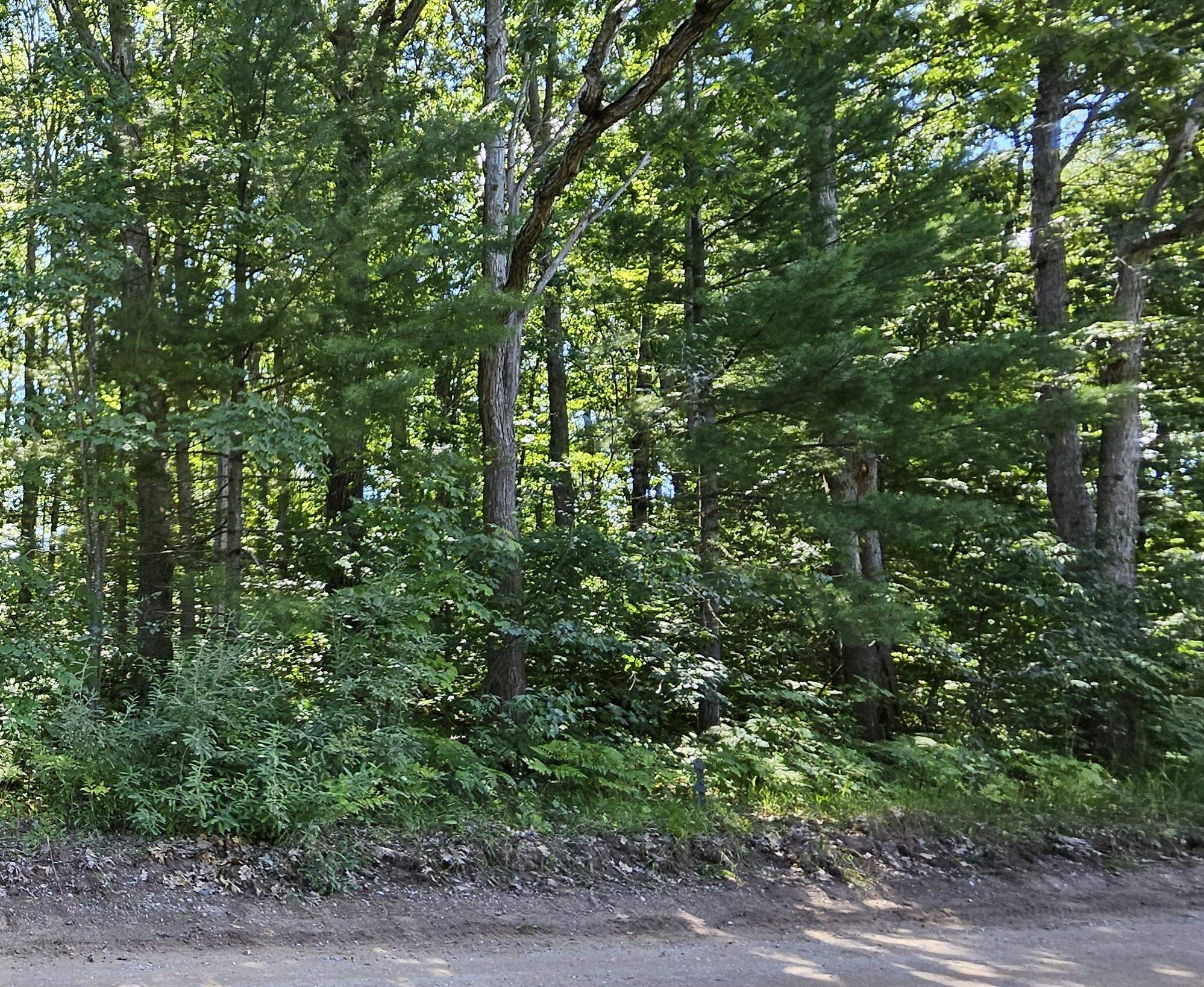 00 Merritt Street Fife Lake Township MI 49633
