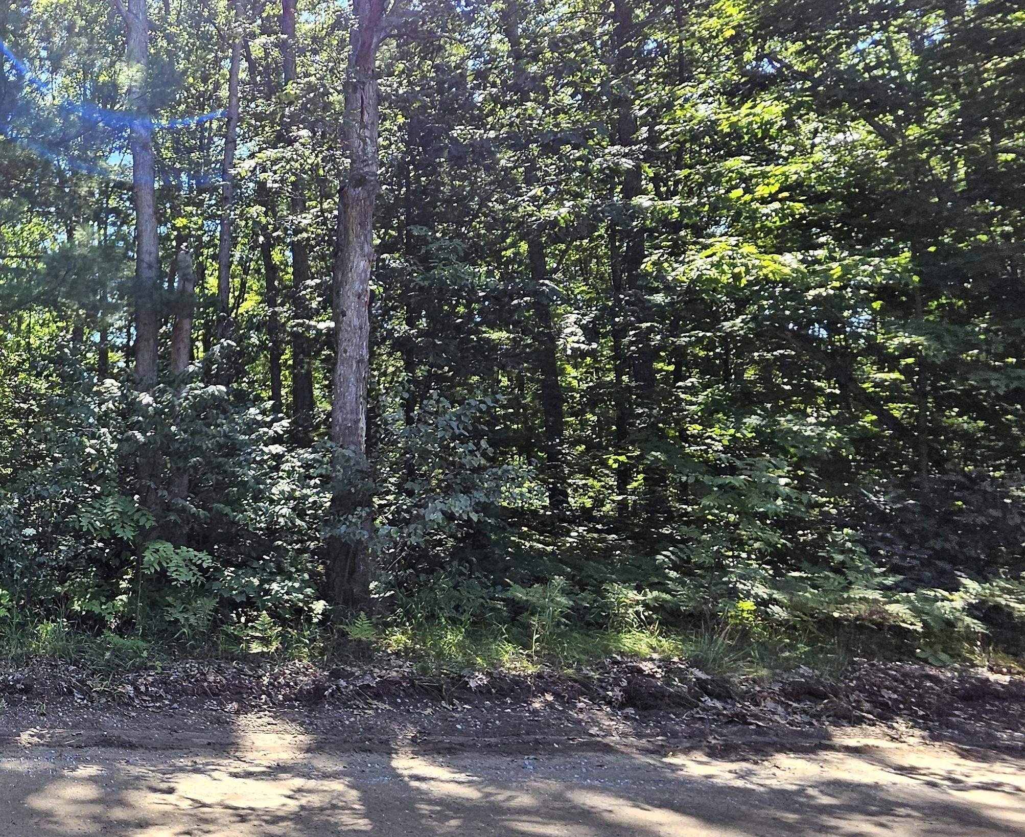00 Merritt Street Fife Lake Township MI 49633