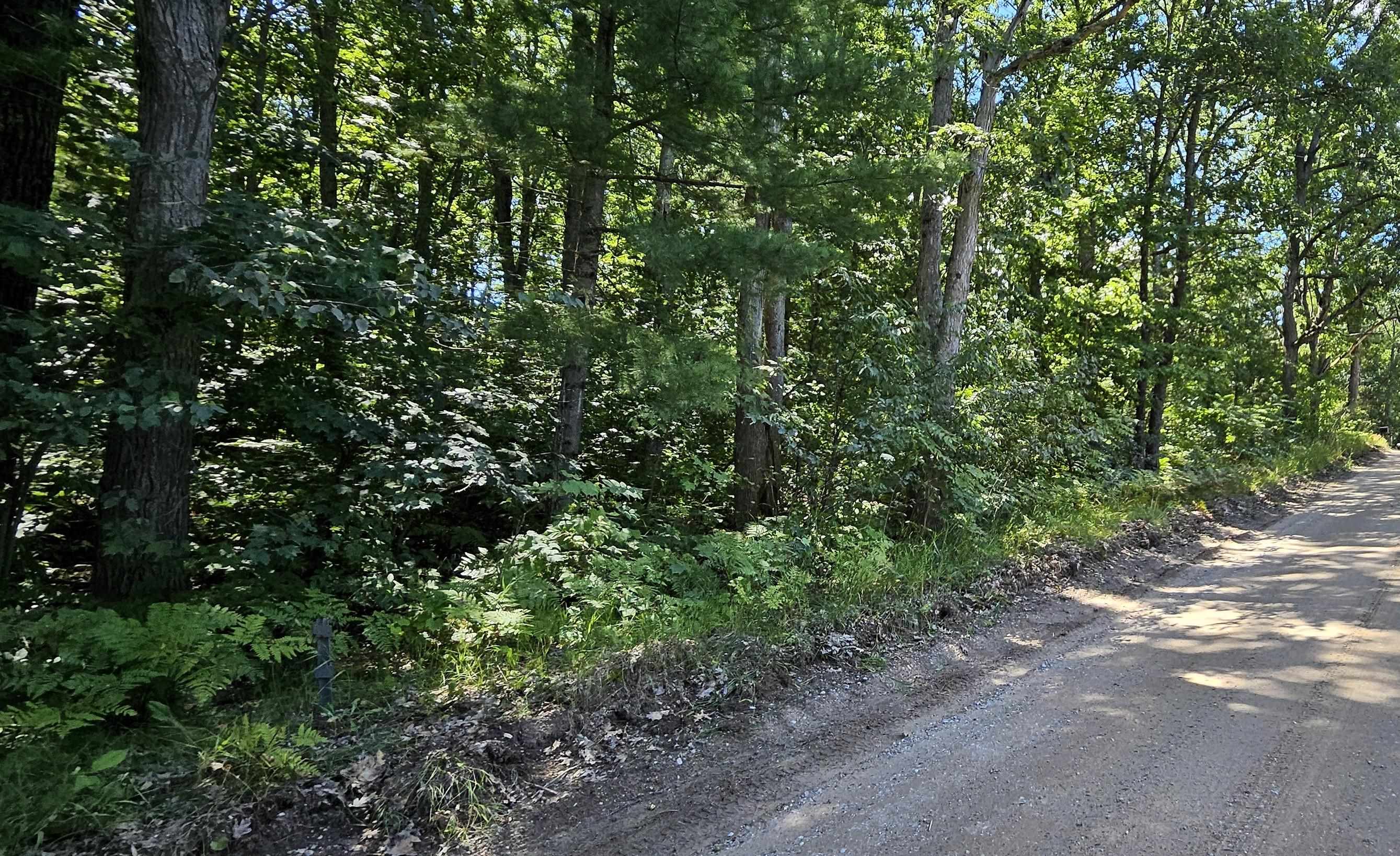 00 Merritt Street Fife Lake Township MI 49633
